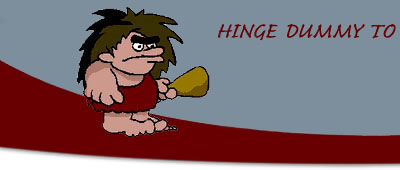 hinge information